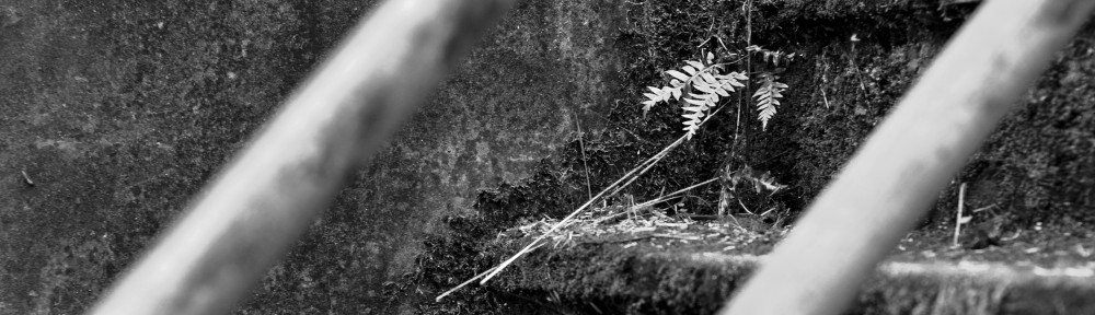 Fort Worden: Rebirth Through Decay
