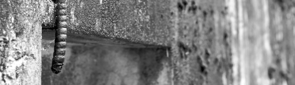 Fort Worden: Rebirth Through Decay